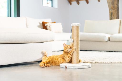 Actual product image Designed by Lotte Scratching post (50 cm, Light grey)