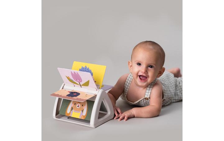 Image du produit Taf Toys Pivotant (Allemand, Français, Italien, Anglais)