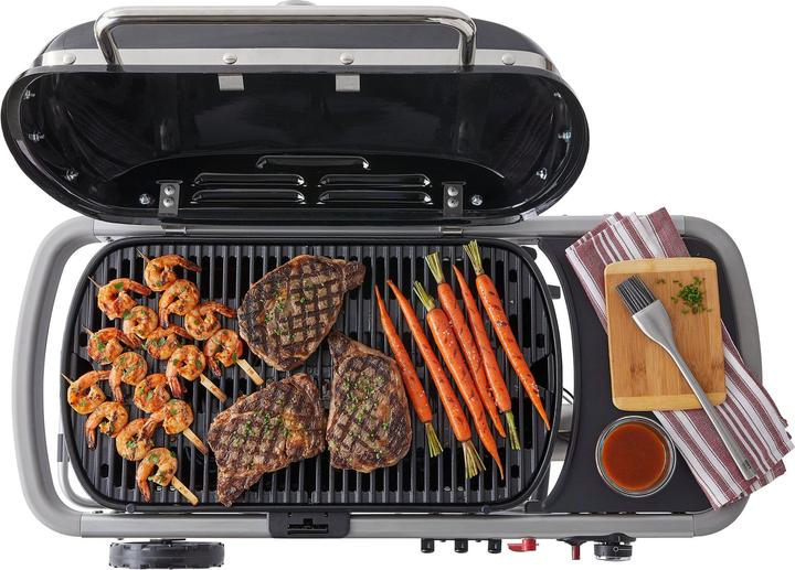 Image du produit Weber Voyageur (3.80 kW)