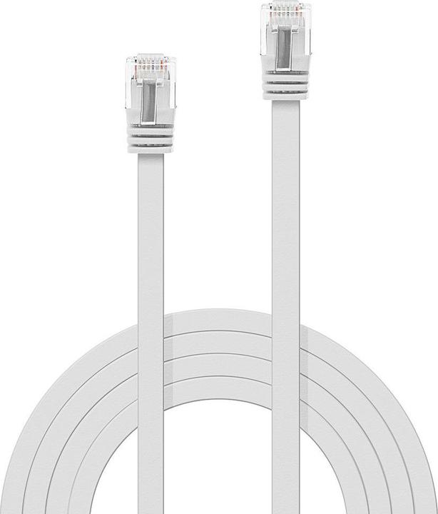 Actual product image Lindy Network cable (UTP, CAT6, 0.30 m)