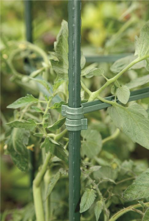 Image du produit Windhager Tour de tomates (30 cm, 30 cm)