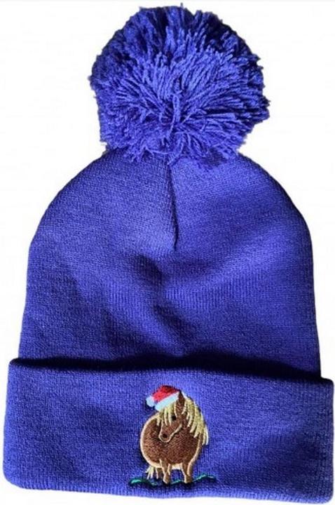 Actual product image British Country Collection Childrens/Kids Santa Pony Pom Pom Christmas Beanie