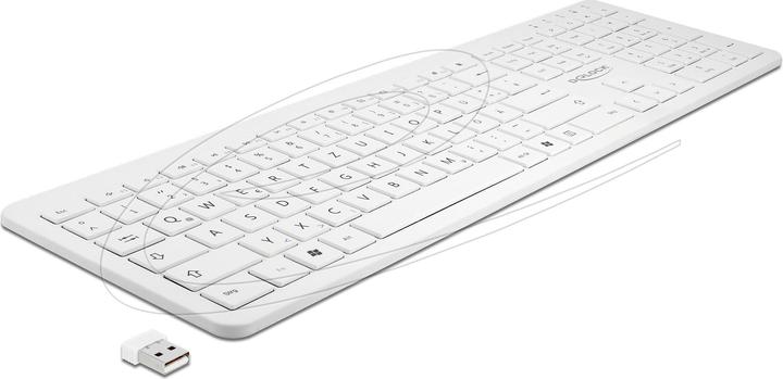 Delock USB Keyboard 2.4 GHz wireless white (flat) (DE, Cable)