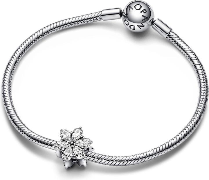 Image du produit Pandora Timeless (Argent 925)