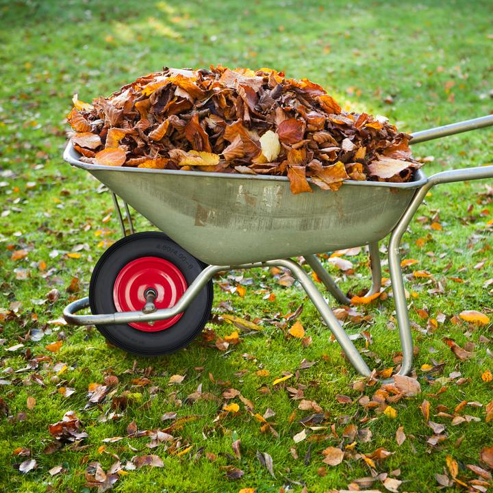 Actual product image Relaxdays Wheelbarrow Wheel 4.80 4., Solid Rubber