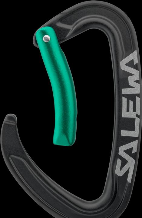 Produktbild Salewa Ortles Bent Carabiner