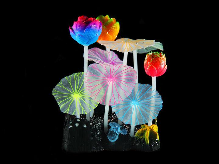 Produktbild Amazonas Fluo Lotus (Dekoration, Pflanzen)