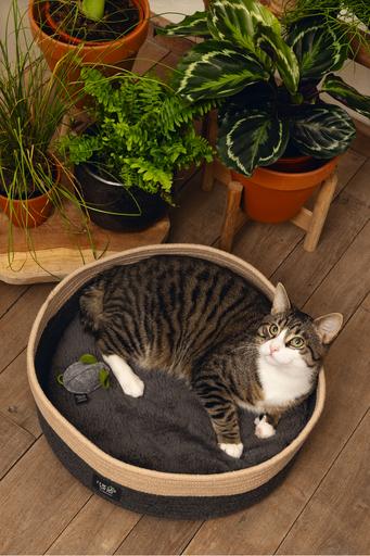 Actual product image Beeztees Xana (Cat)