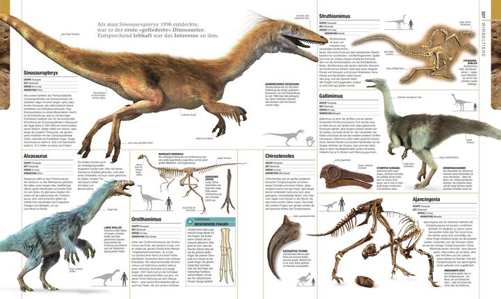 Immagine prodotto Dinosaurier und andere Lebewesen der Urzeit (Tedesco, Christopherua, Tommaso, Jennifer/Duffin, BarryA/Clack, 2020)
