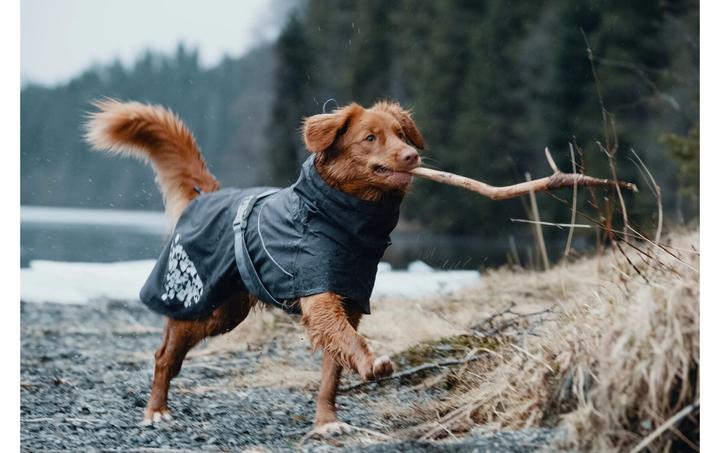 Image du produit Hurtta Imperméable de mousson gris foncé (90, L, XL, Imperméable pour chien)