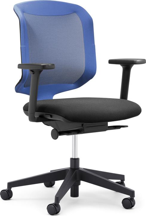 Bleu, Noir