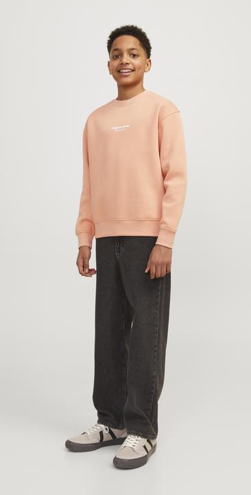 Immagine prodotto Jack & Jones Jorvesterbro Sweat Crew Neck Bn Mni (116)