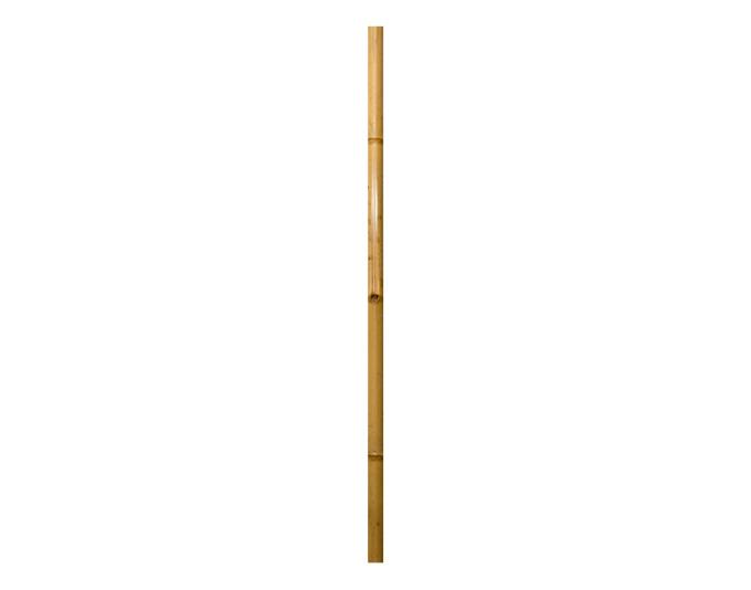 Produktbild Windhager Bambus-Rohr 200x9-10cm natur (200 cm, 10 cm)