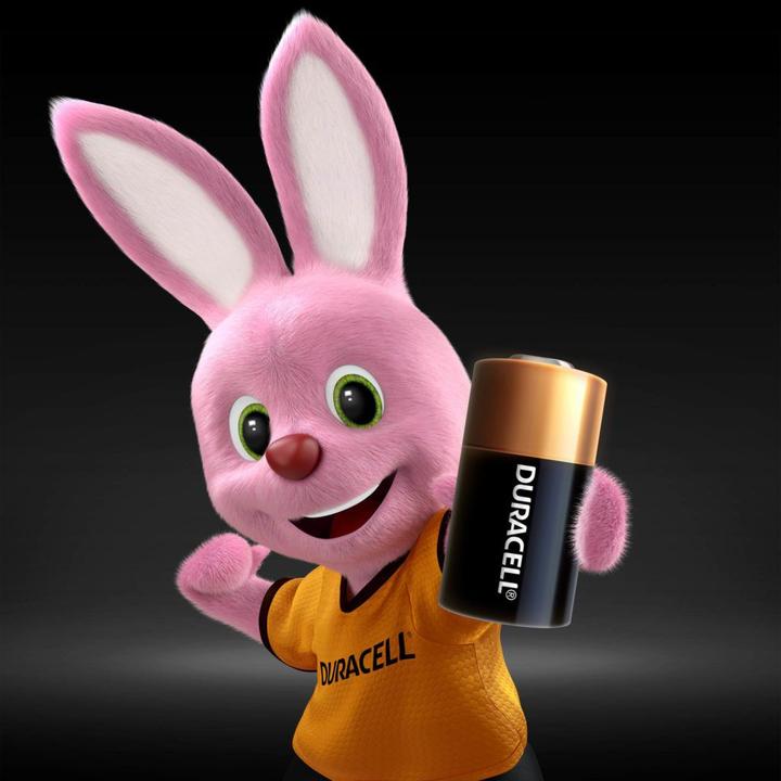 Immagine prodotto Duracell Foto (1 pz., 28L, 150 mAh)