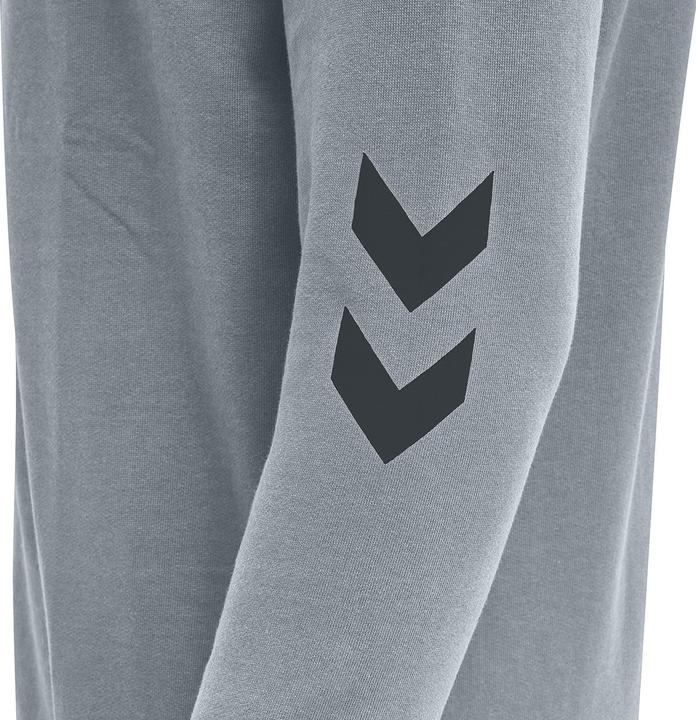 Actual product image hummel Legacy Zip Hoodie (XS)