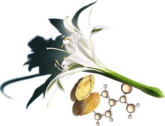Immagine prodotto Clarins Nutri-Lumière SPF 15 Toutes Peaux (50 ml, Crema da giorno, SPF 15)