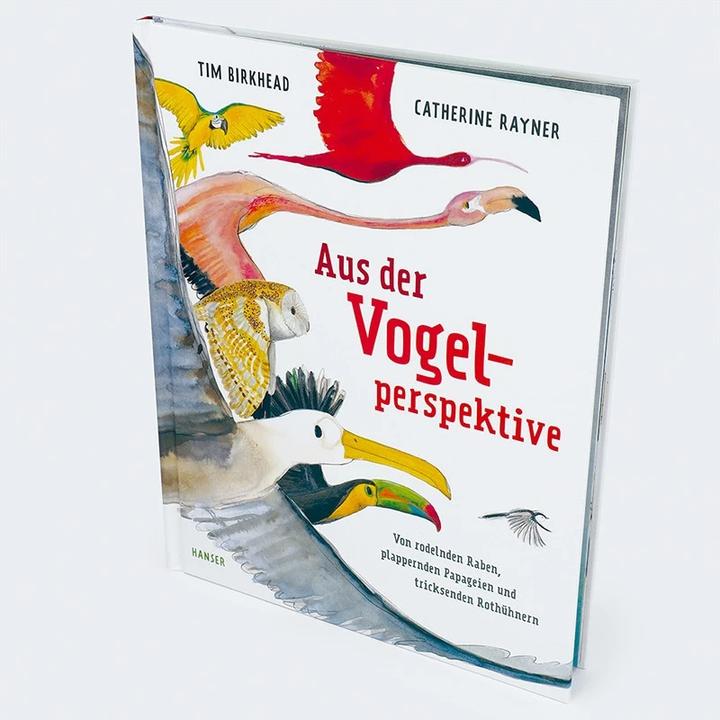 Image du produit Aus der Vogelperspektive (Allemand, Tim Birkhead, Catherine Rayner, Rita Gravert, 2023)