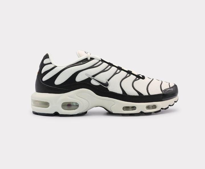 Produktbild Nike Air Max Plus (41)