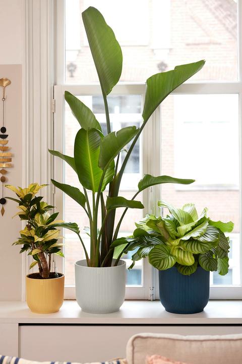 Produktbild Elho Vibes Fold (25 cm)
