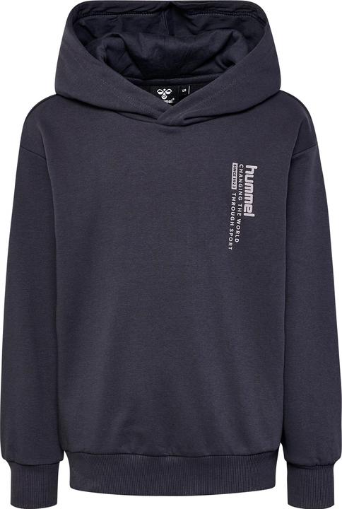 Image du produit hummel hmlDANTE HOODIE (122)