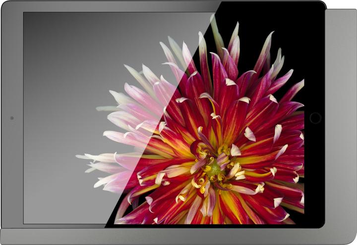 Image du produit Viveroo 510171 Support mural pour iPad free