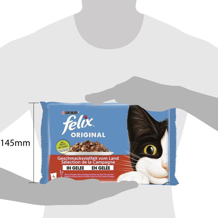 Actual product image Felix Original (Adult, 4 pcs., 340 g)