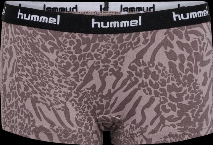 Actual product image hummel Hmlcarolina Hipsters 2-Pack (104, pack of 2)