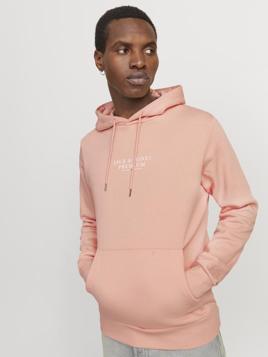 Actual product image Jack & Jones Logo hooded jumper Hooded jumper (XS)