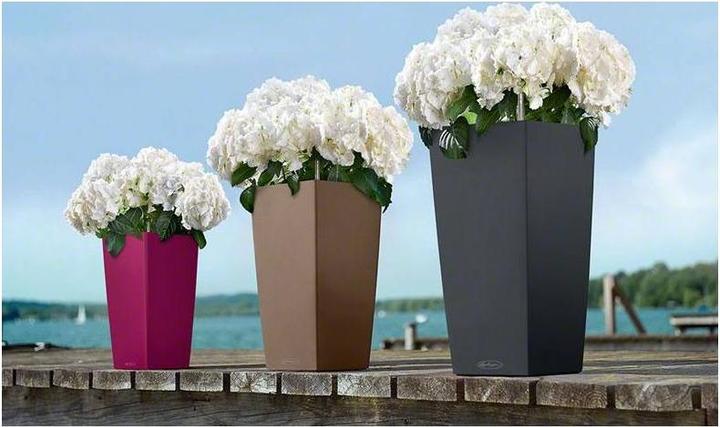 Actual product image Lechuza Cubico Color (22 cm)