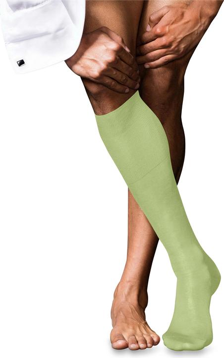 Falke No. 9 Pure Fil d'Écosse Herren (45 - 46)