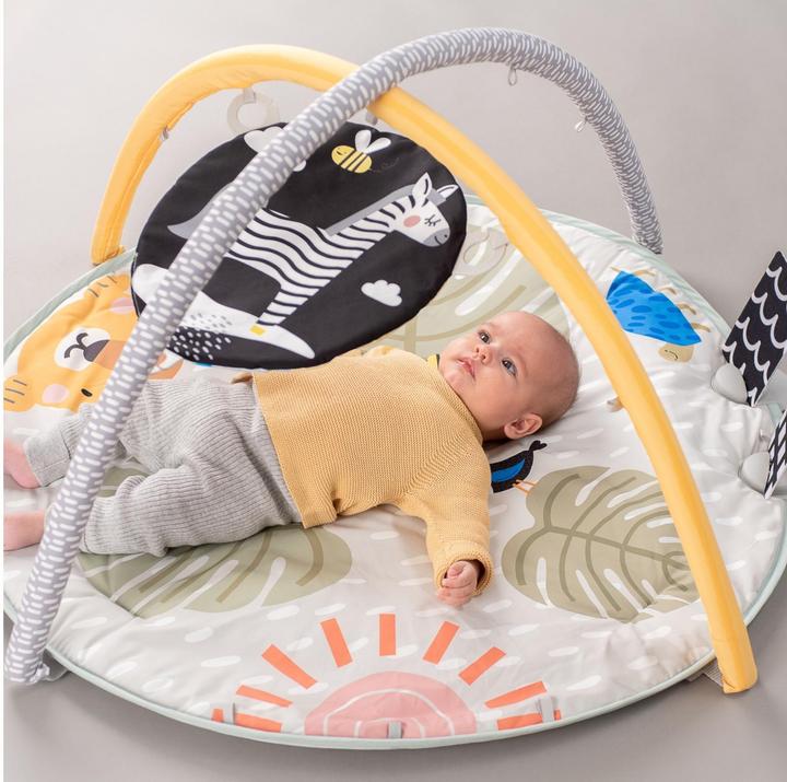 Actual product image Taf Toys Savannah