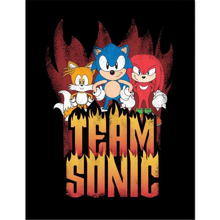 Actual product image Sonic The Hedgehog Team Sonic Framed Poster (40 x 30 cm)