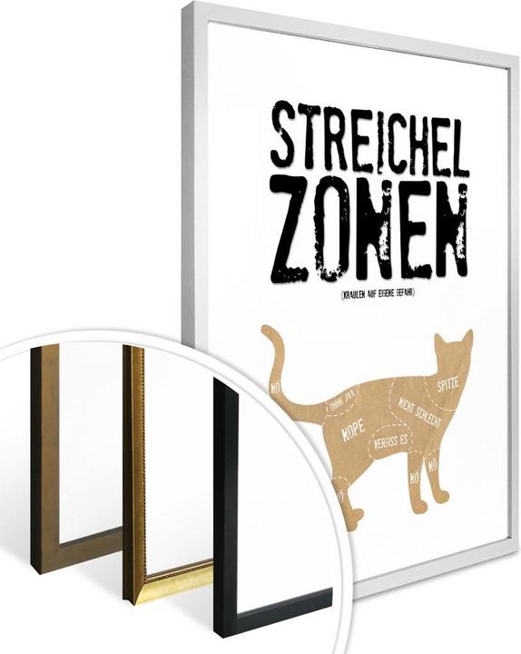 Image du produit Trenddeko Zones de caresses - Chat (30 x 40 cm)