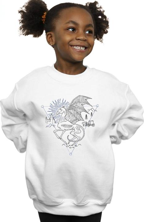 Actual product image Girls Thestral Line Art Sweatshirt (116)