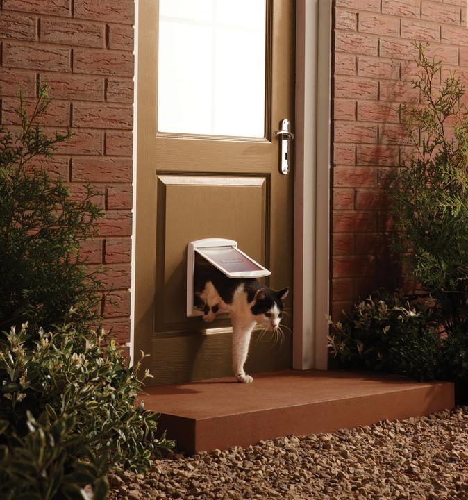 Immagine prodotto Staywell Porta gatto 715 (Gattaiola manuale)