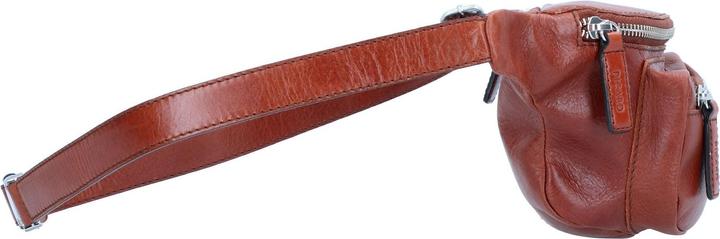 Actual product image Picard Buddy