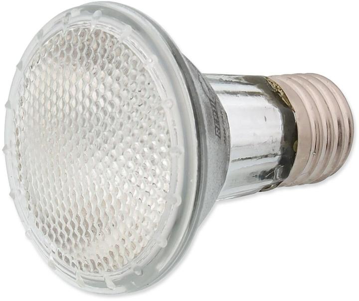 Actual product image Repti Planet Terrarium lamp halogen spot 25 W (UVA, Splashproof)