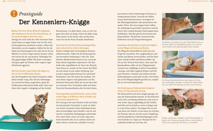 Actual product image Katzen (German, Gerd Ludwig, 2013)