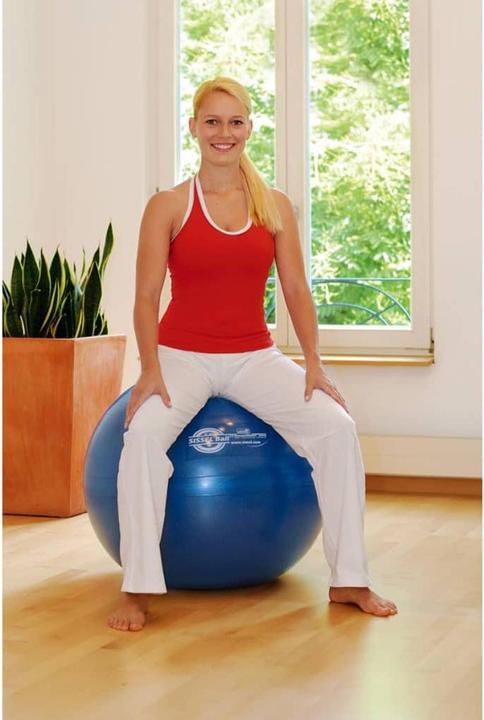 Actual product image Sissel Ball (65 cm)