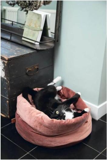 Actual product image Designed by Lotte Fluco (Dog)