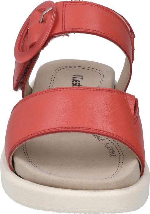 Immagine prodotto Westland 25408-409 (41)