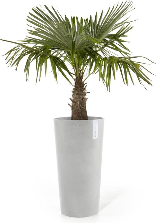 Actual product image Ecopots Amsterdam midhigh (66 cm)