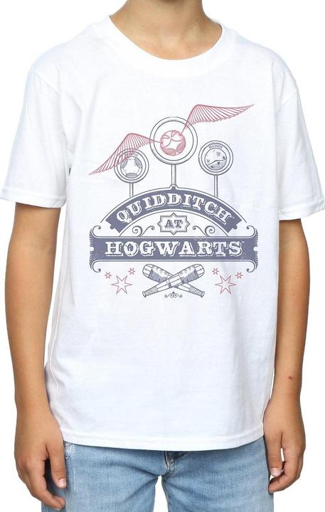 Actual product image Boys Quidditch At Hogwarts T-Shirt (152, 158)