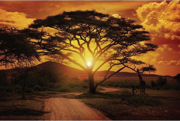 Image du produit Eibert Visual Sunset Savanna (97 x 65 cm)