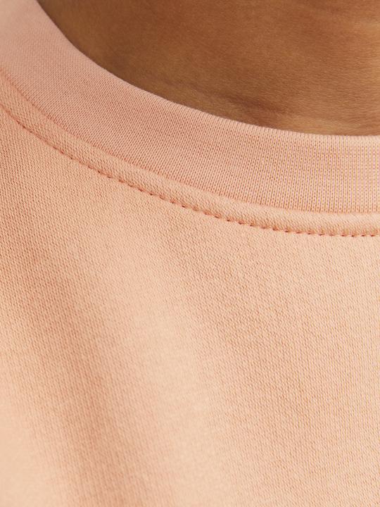 Immagine prodotto Jack & Jones Jorvesterbro Sweat Crew Neck Bn Mni (116)