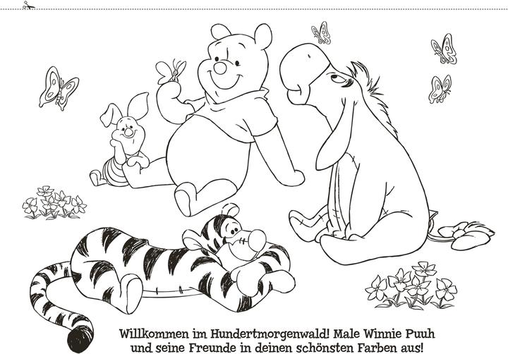 Produktbild Panini Disney Winnie Puuh: Mein erster Malspass