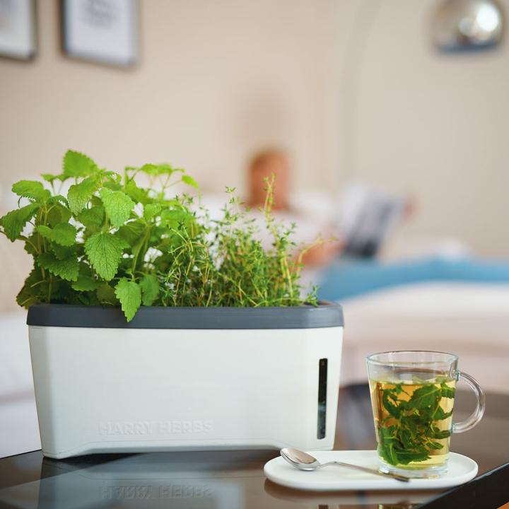 Actual product image Gusta Garden Kräutertopf HARRY HERBS mit Haube, Weiss (35.80 cm)