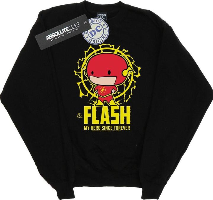 Flash My Hero Since Forever Sweatshirt Jungen