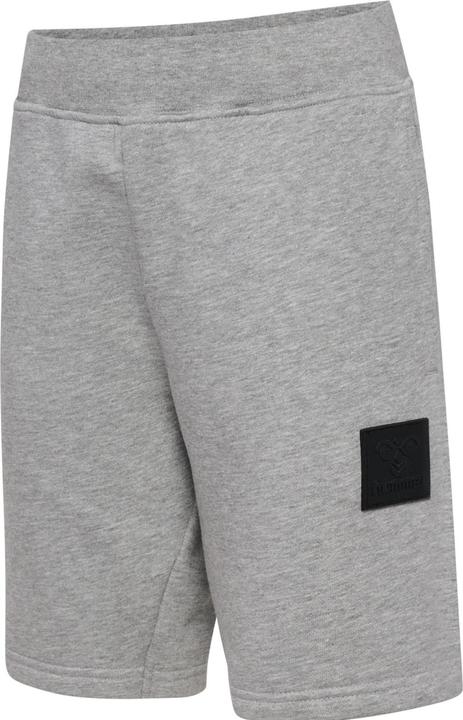 Image du produit hummel Hmlclean Adjustable Shorts (122)