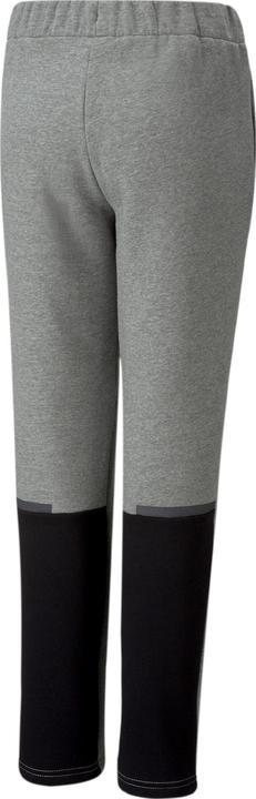 Actual product image Puma teamCUP Casuals Pants Jr (164)